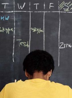 are you honest - 300x520